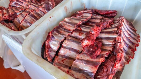 The Ultimate Guide to Processing a Deer – What You Need to Know
