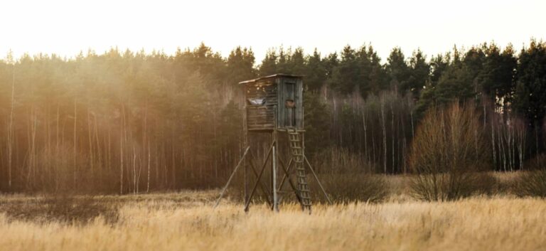 Tripod Deer Stand: Take Your Game To New Heights!
