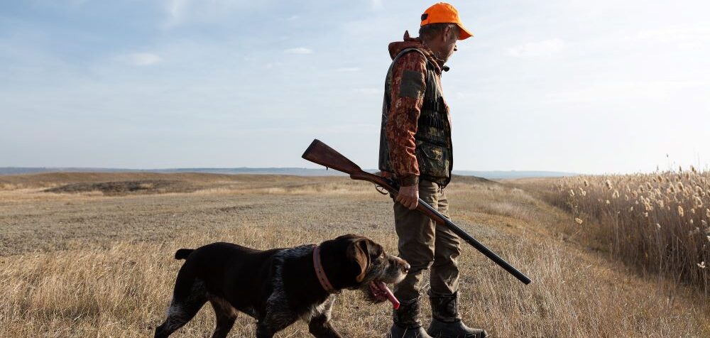 best hunting dogs