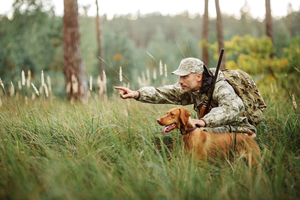 best hunting dog