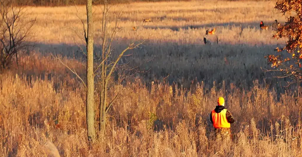 deer season illinois, first firearm deer season, archery permit, additional regulations archery, centerfire rifle